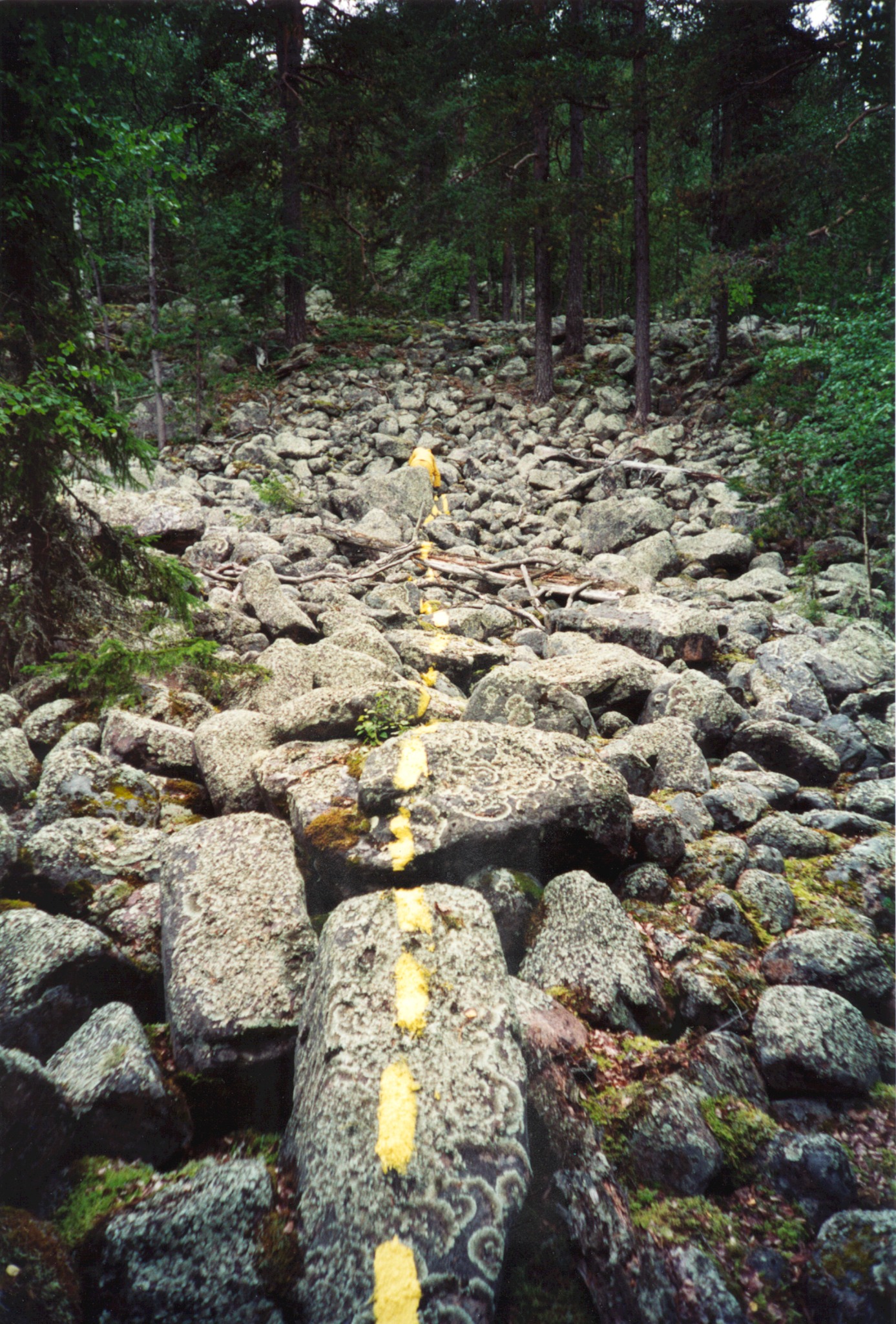 The yellow line crossing the rocky terrain in Ajanki