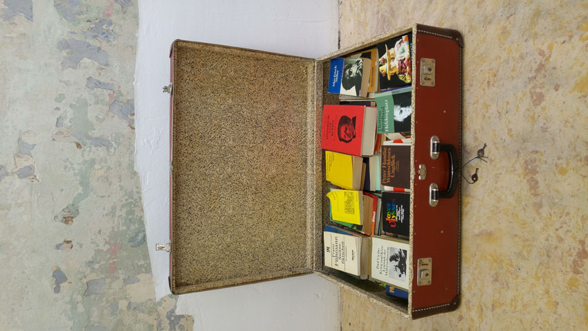 Open suitcase containing the 63 books