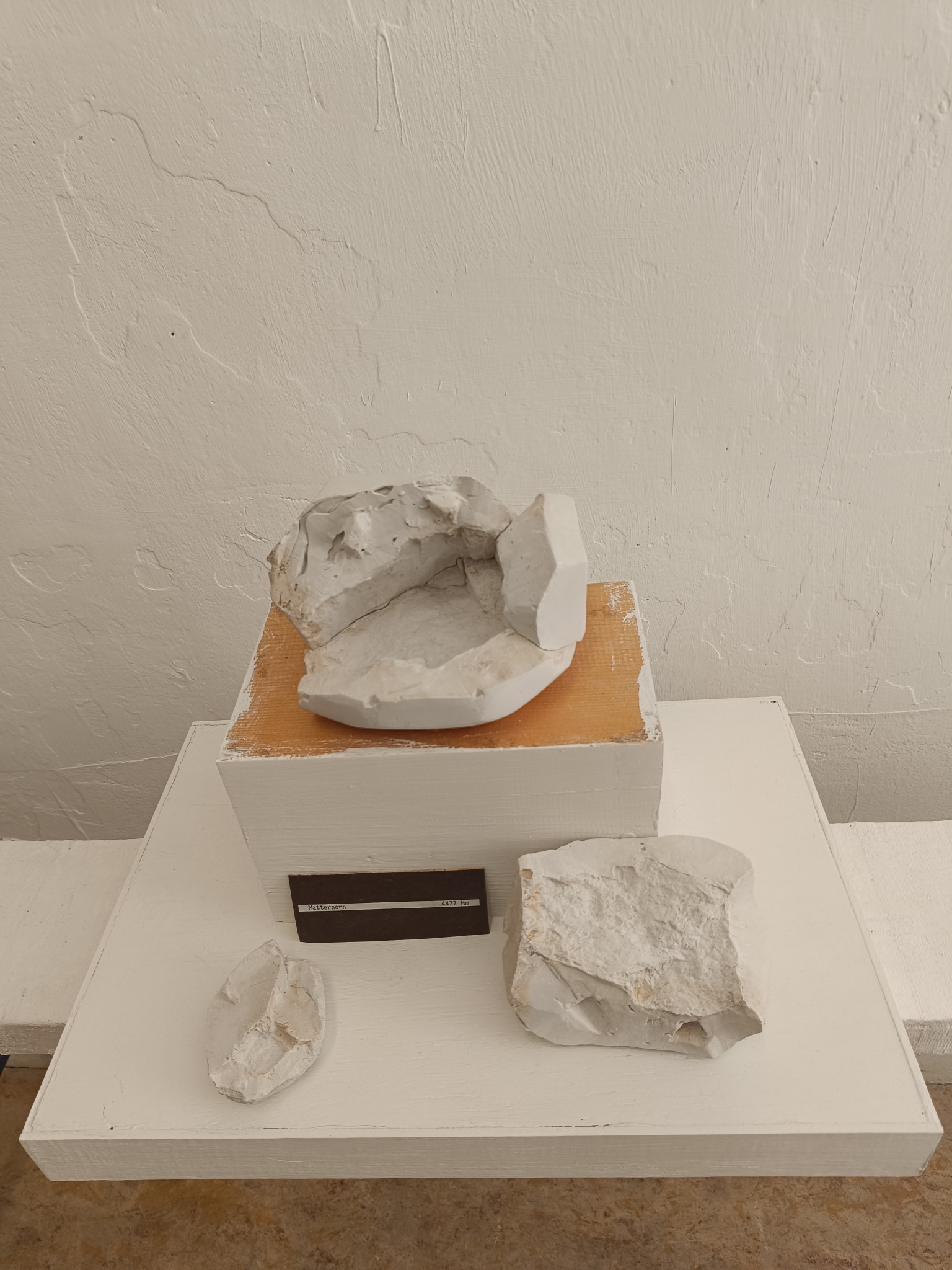 Original plaster moulds from Demontage displayed on white plinths