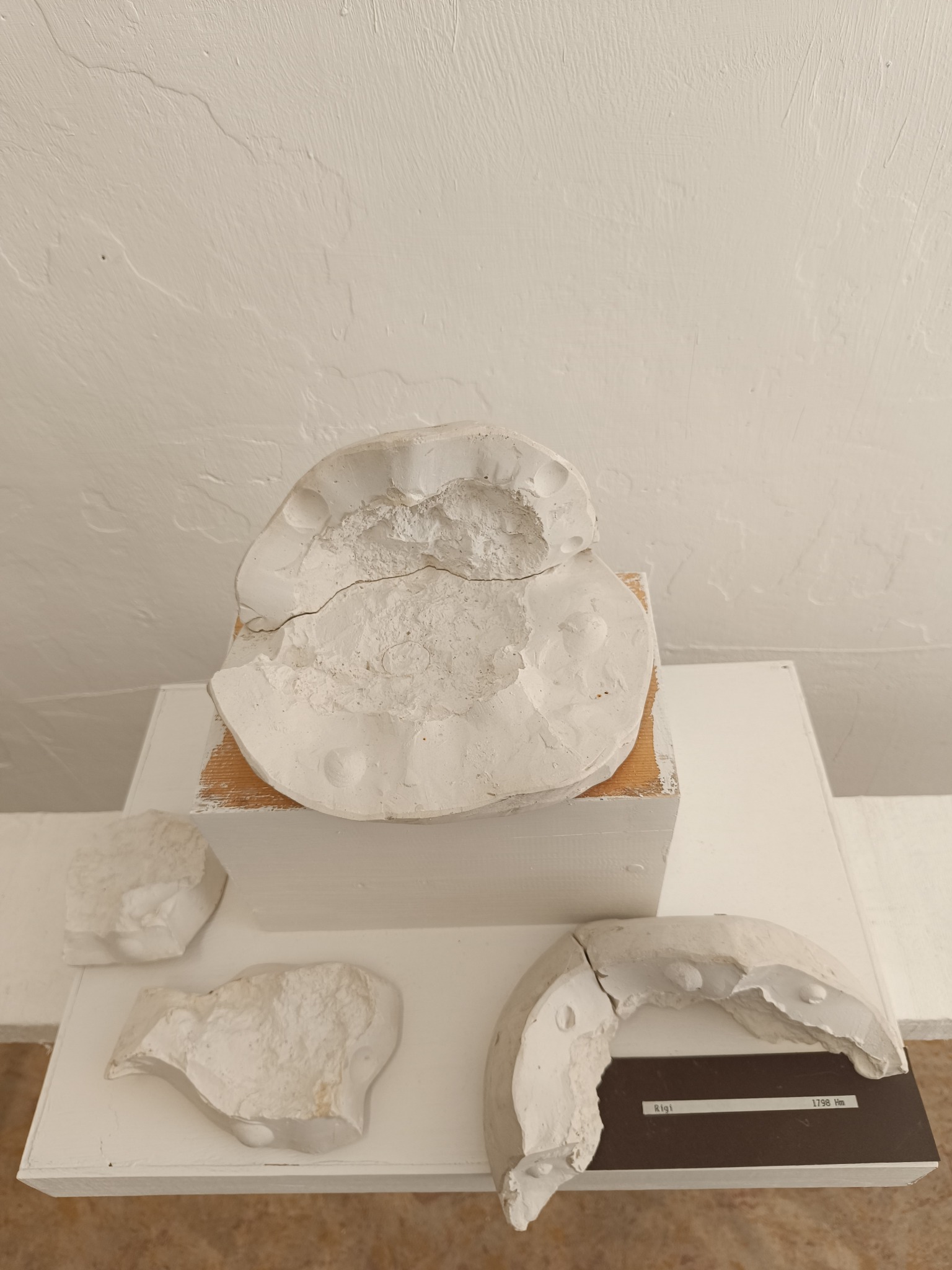 Front view of opened original plaster moulds from Demontage