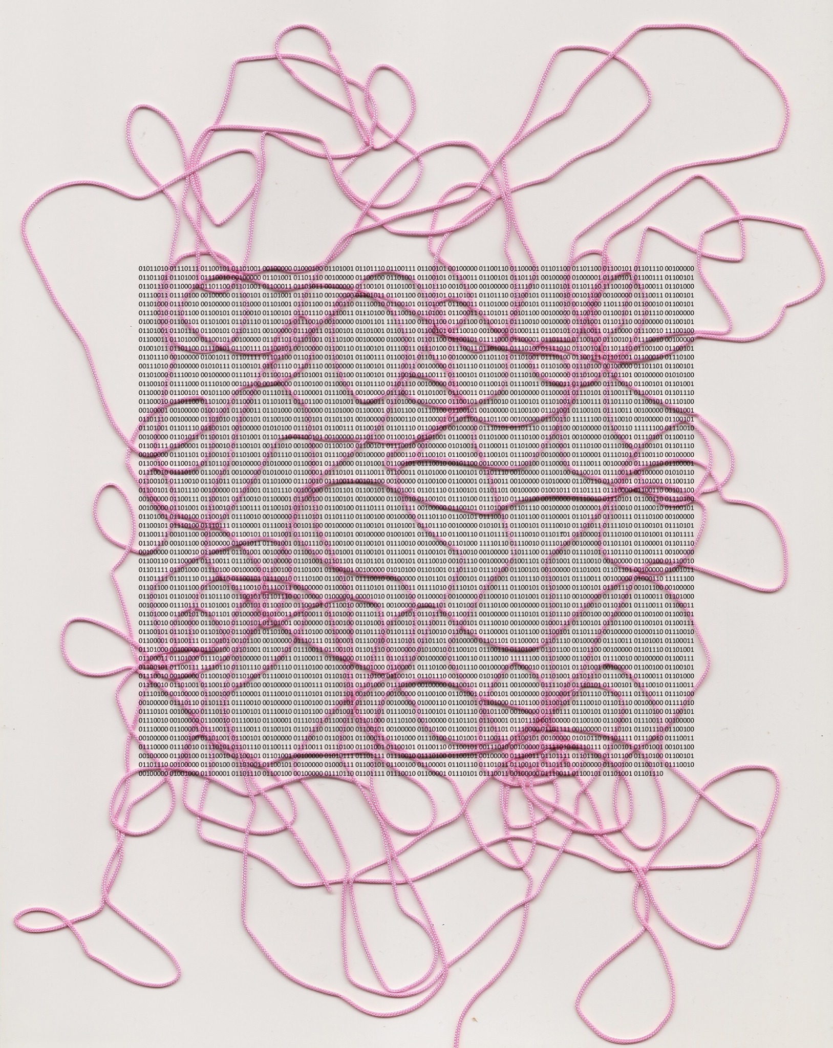 Binary Coded: Bärfuss I