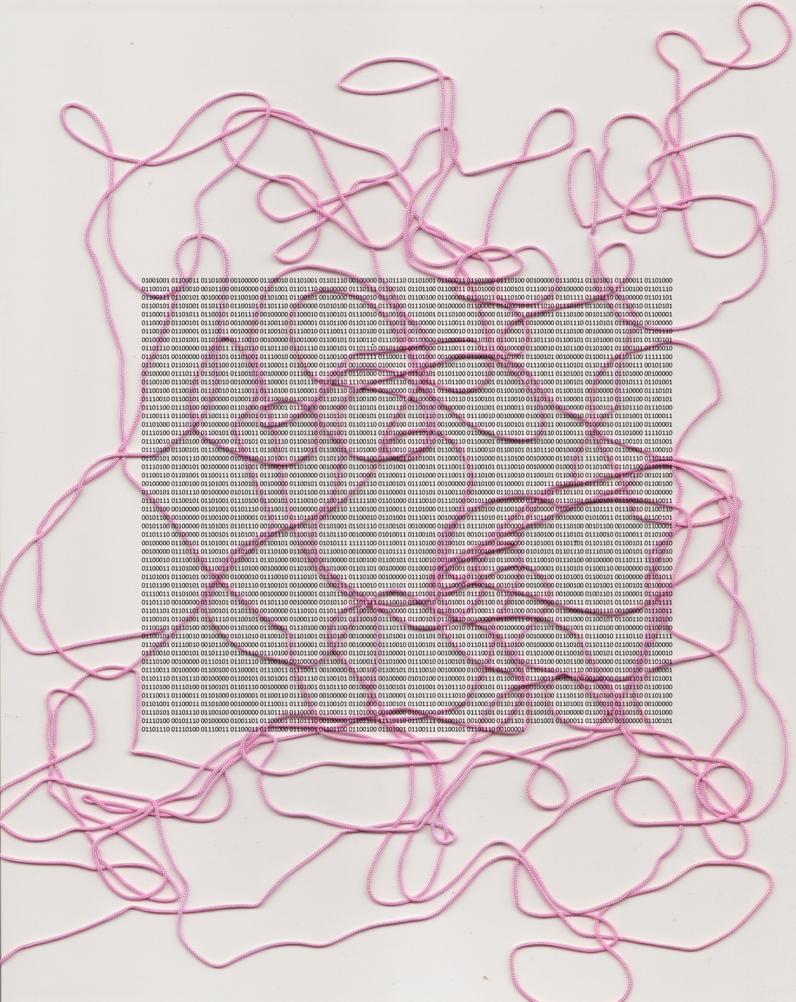 Binary Coded: Bärfuss II