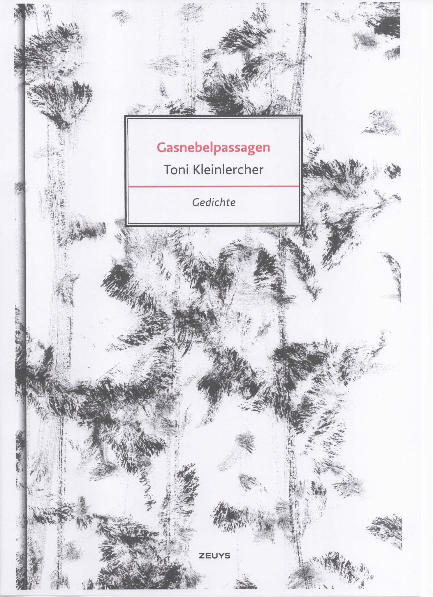 Cover of Gasnebelpassagen by Toni Kleinlercher