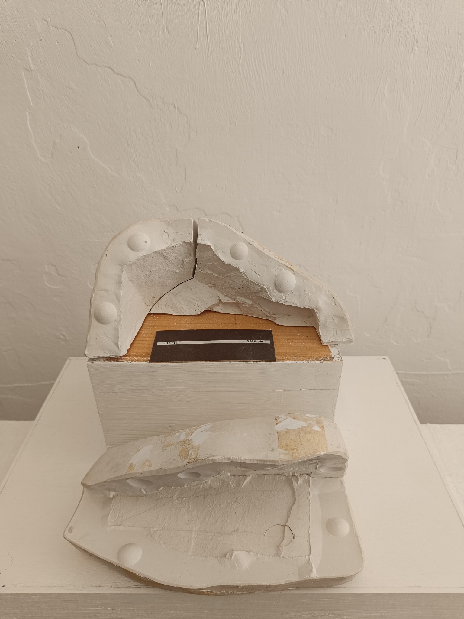 Opened original plaster mould from Demontage